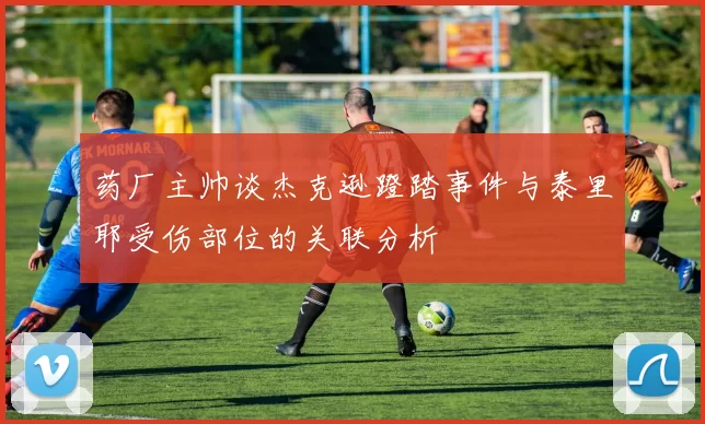 药厂主帅谈杰克逊蹬踏事件与泰里耶受伤部位的关联分析