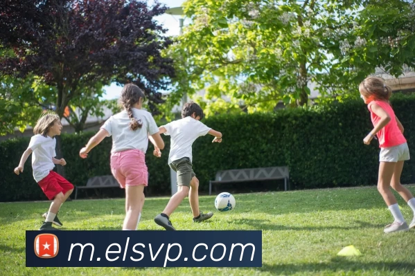 华体会hth·(体育)全站App